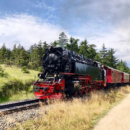 Fewo Schlossblick #Innenstadt #Garten #Netflix Von Harztraveler Wernigerode Exterior foto